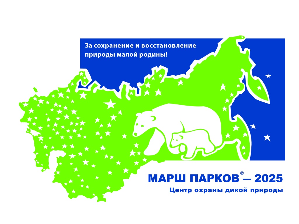 1_МП-2025_logo.jpg